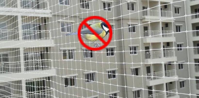 Bird Netting Cost in Bangalore | Call 9980055746 for High Quality Net