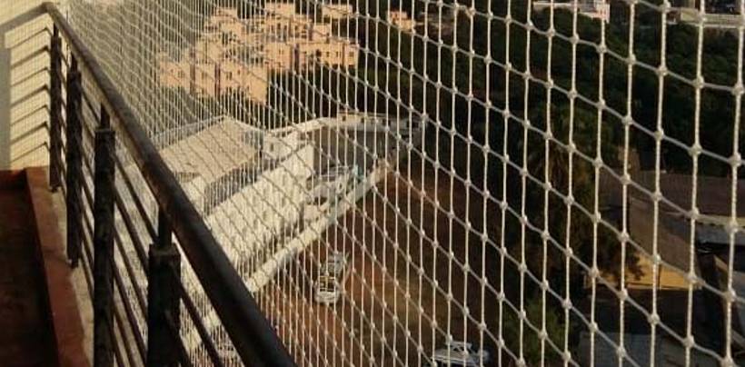 Bird Protection Nets In Bangalore | Call 9980055746 for Free Inspection