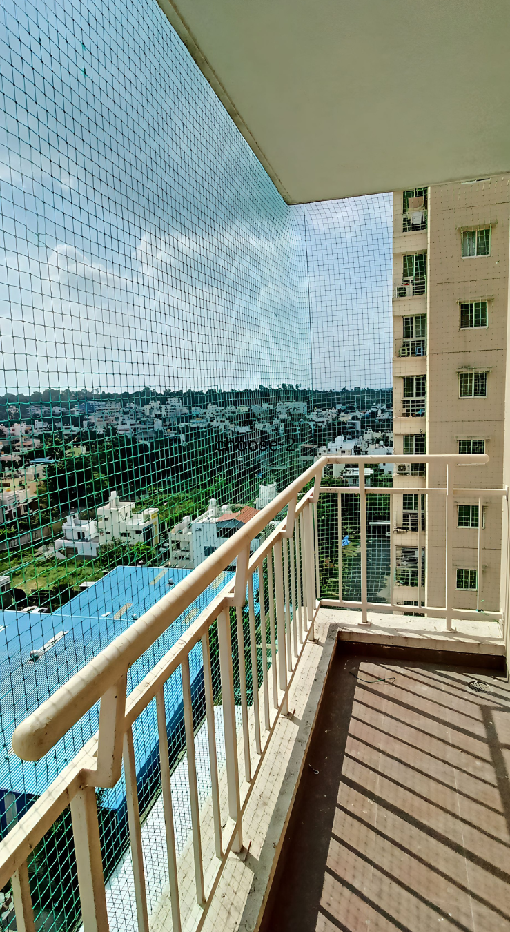 Pigeon-Net-Service-In-Chennai