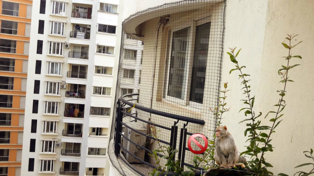 Monkey Protection Nets for Balcony | Call 9980055746 fixing in Bangalore