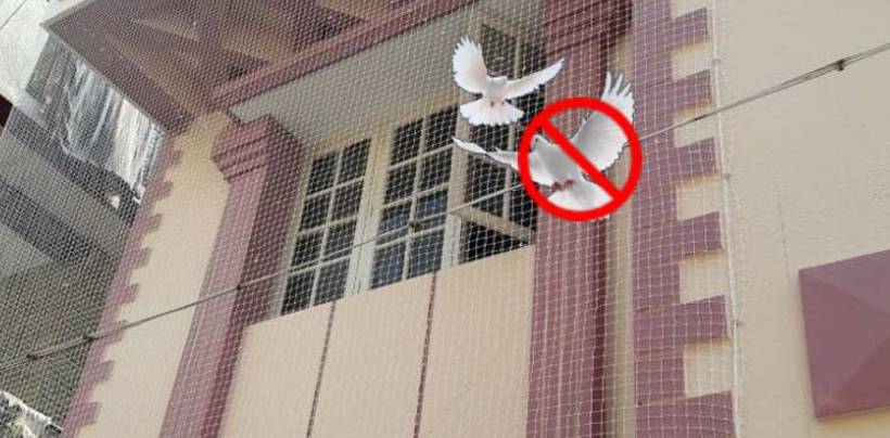 Pigeon Net Installation In Bangalore | Call 9980055746 for Best Quality Net 